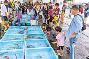 photo:白塚漁港