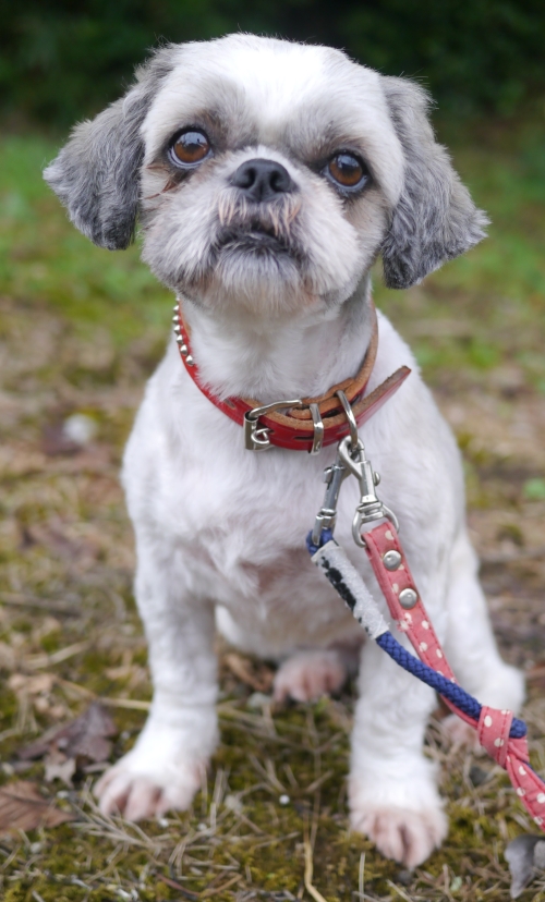 左寄せパターン