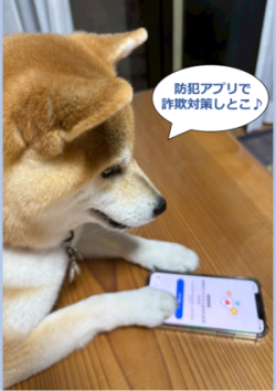 写真：防犯アプリで詐欺対策