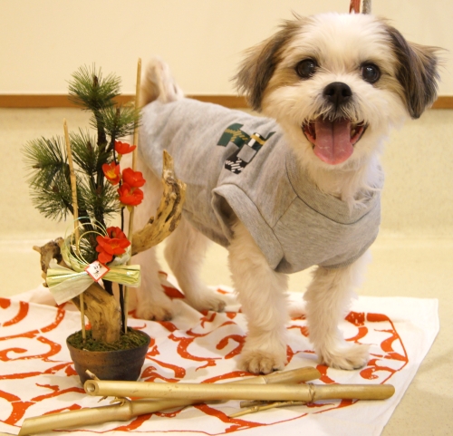 左寄せパターン