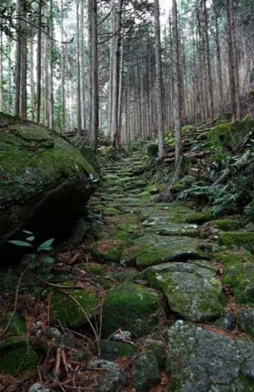 語り部と歩く熊野古道伊勢路「八鬼山越え」