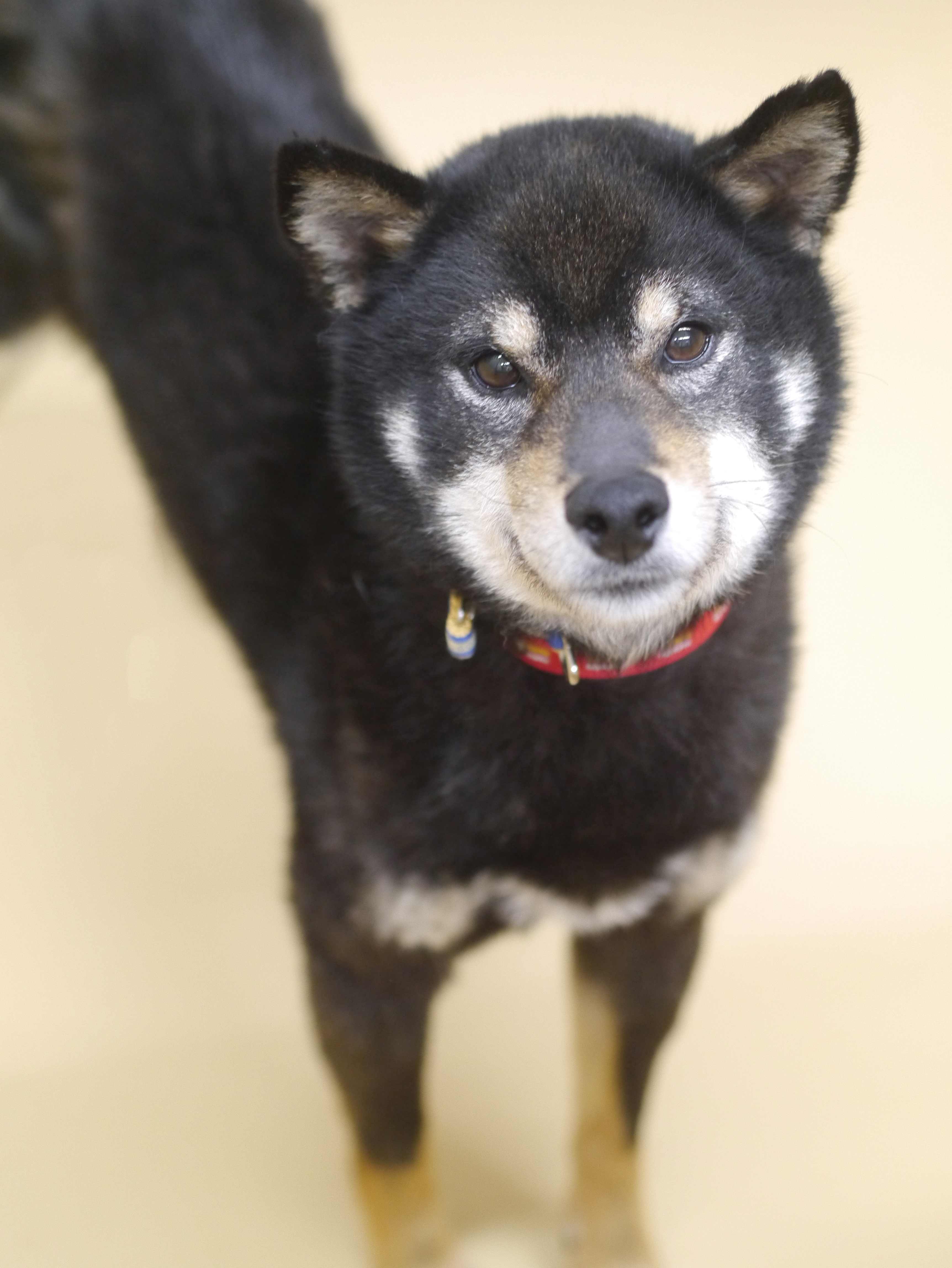 左寄せパターン