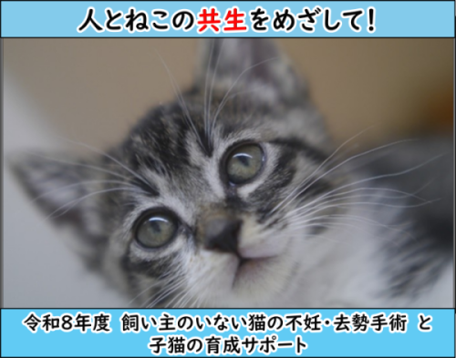 サムネイル写真：令和８年度「飼い主のいない猫の不妊・去勢手術と子猫育成サポート」クラウドファンディング募集用