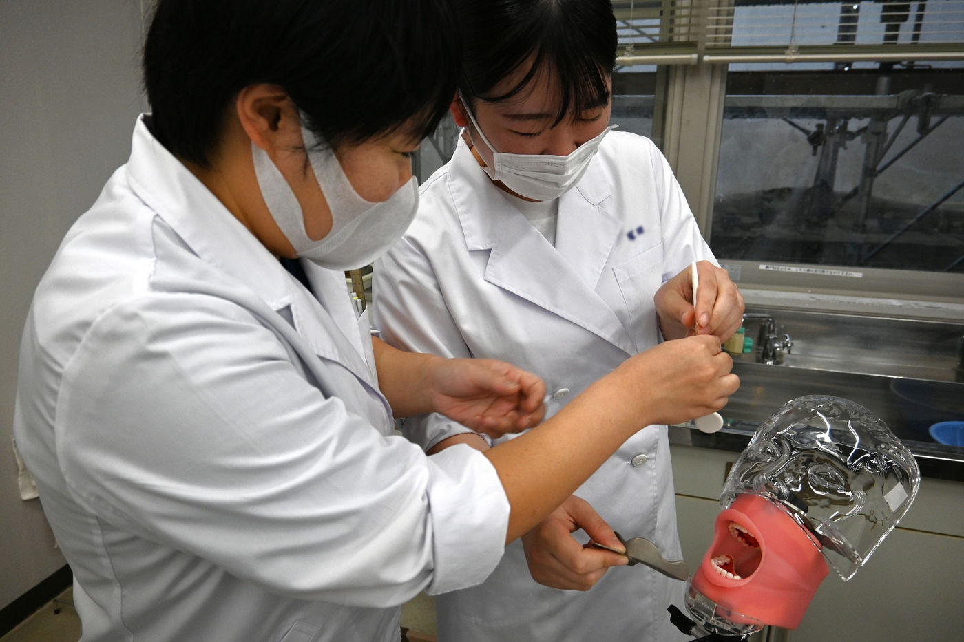 新しいマネキンを使って実習する学生たち